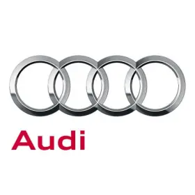 Audi 8b1-864-261-a-v58 Genuine Insert