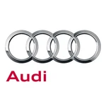 Genuine Audi Damper 8V0-863-807. Fixed Price $18.16.